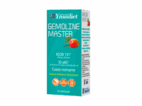 Gemoline Master